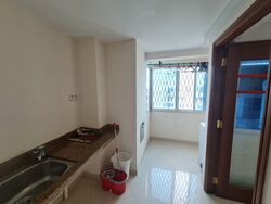 Cairnhill Plaza (D9), Apartment #490138311